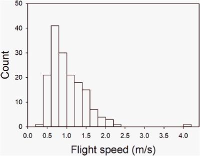 Adrenergic Tone as an Intermediary in the Temperament Syndrome Associated With Flight Speed in Beef Cattle